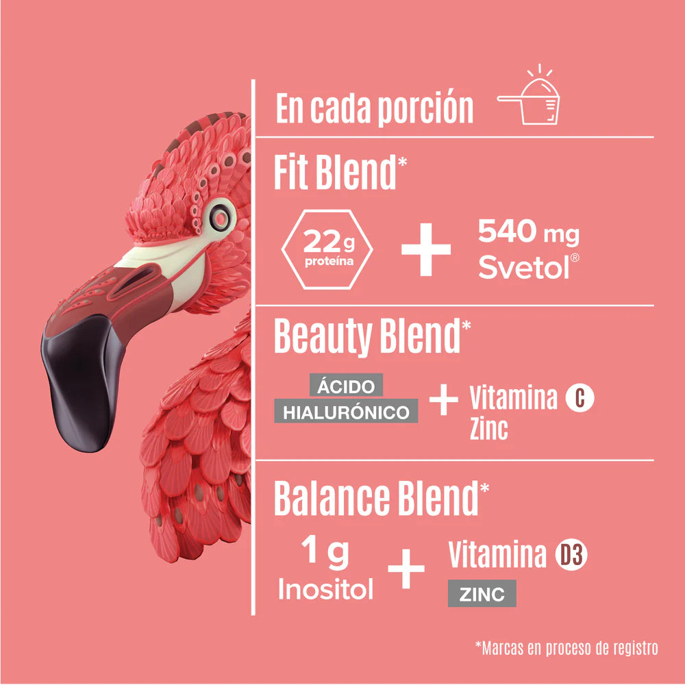 Fitmingo Protein Birdman - Proteína en Polvo con Inositol & Vitaminas - Moka 1.7 kg