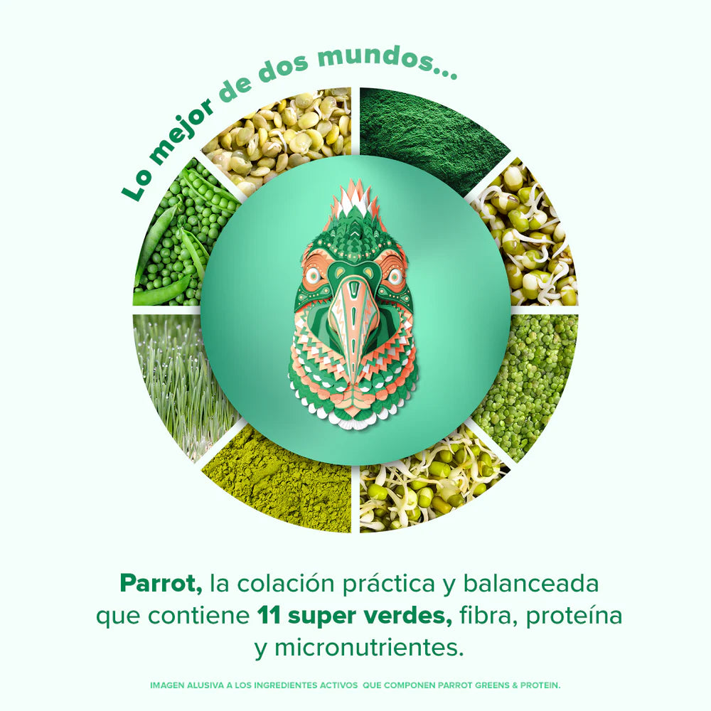 Parrot Greens & Protein Birdman - Proteína en Polvo con Verdes & Vitaminas - Matcha 210 g