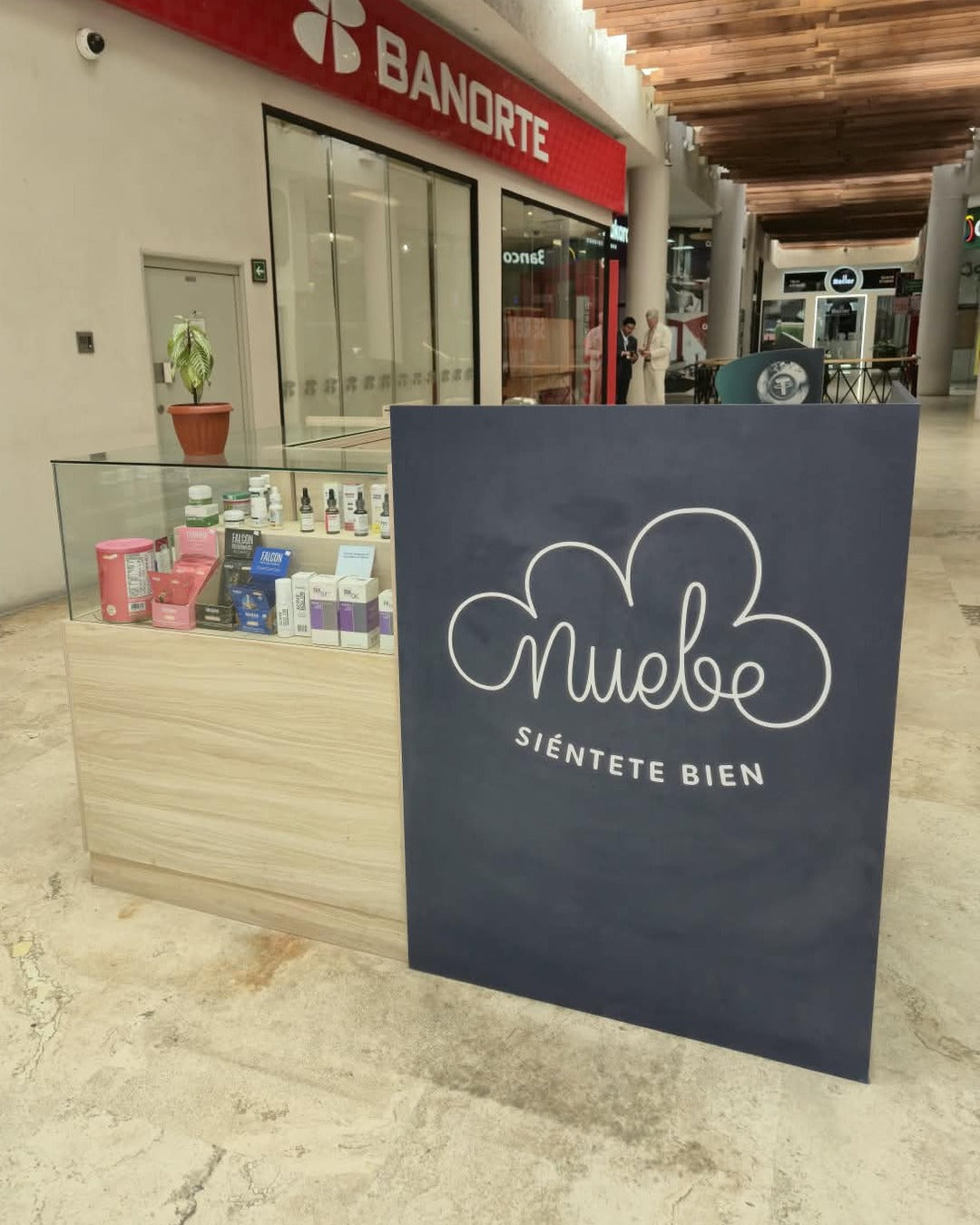Nuebe Pedregal