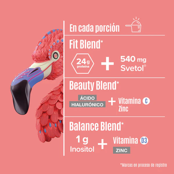 Fitmingo Proteína Blueberry 510 gr