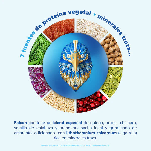 Falcon Proteina Vainilla 510gr