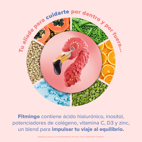 Fitmingo Proteina Moka 510g