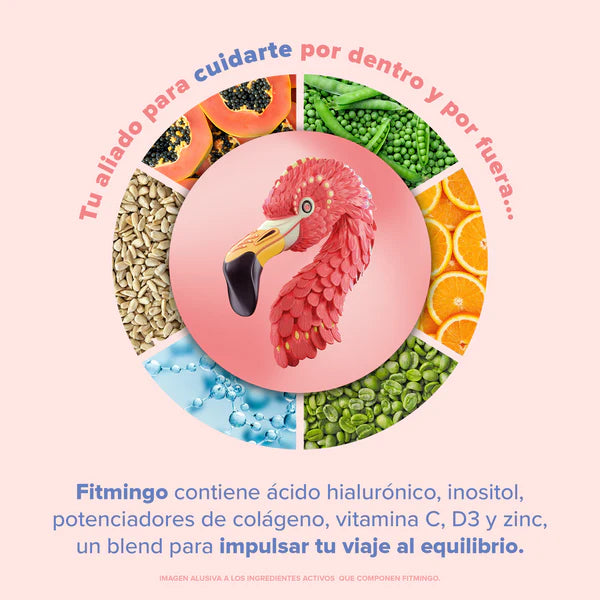 Fitmingo Proteína Blueberry 510 gr