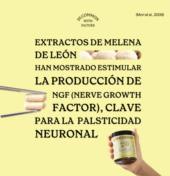 Commons Melena de León 50 g Carry On