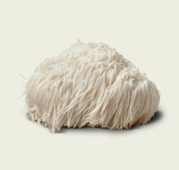 Commons Melena de León 50 g Carry On