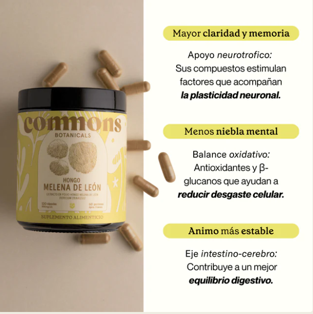 Commons Melena de León 120 Cápsulas (500 mg c/u)