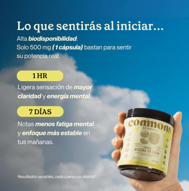Commons Melena de León 120 Cápsulas (500 mg c/u)