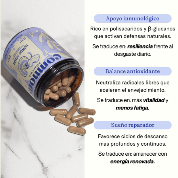 Commons Reishi 120 Cápsulas (500 mg c/u)
