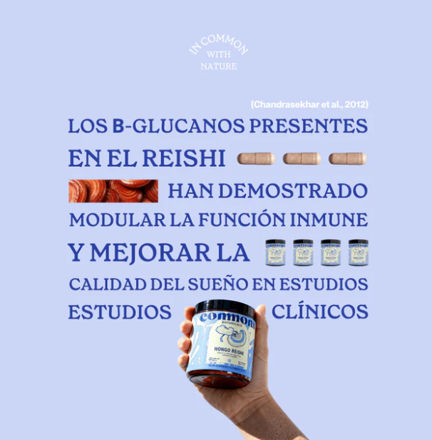 Commons Reishi 120 Cápsulas (500 mg c/u)