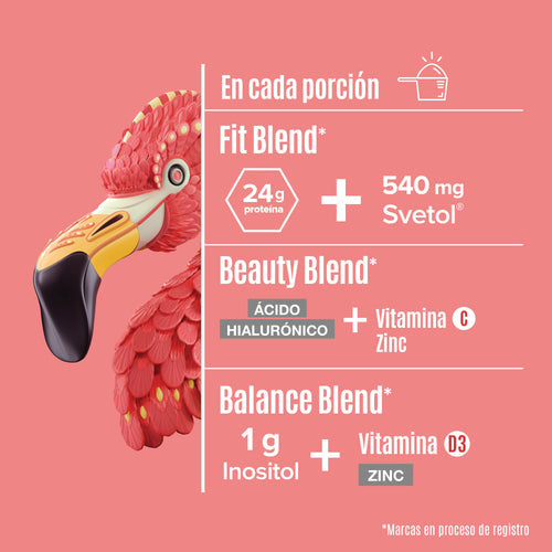 Fitmingo Proteina Vainilla 1.7 kg